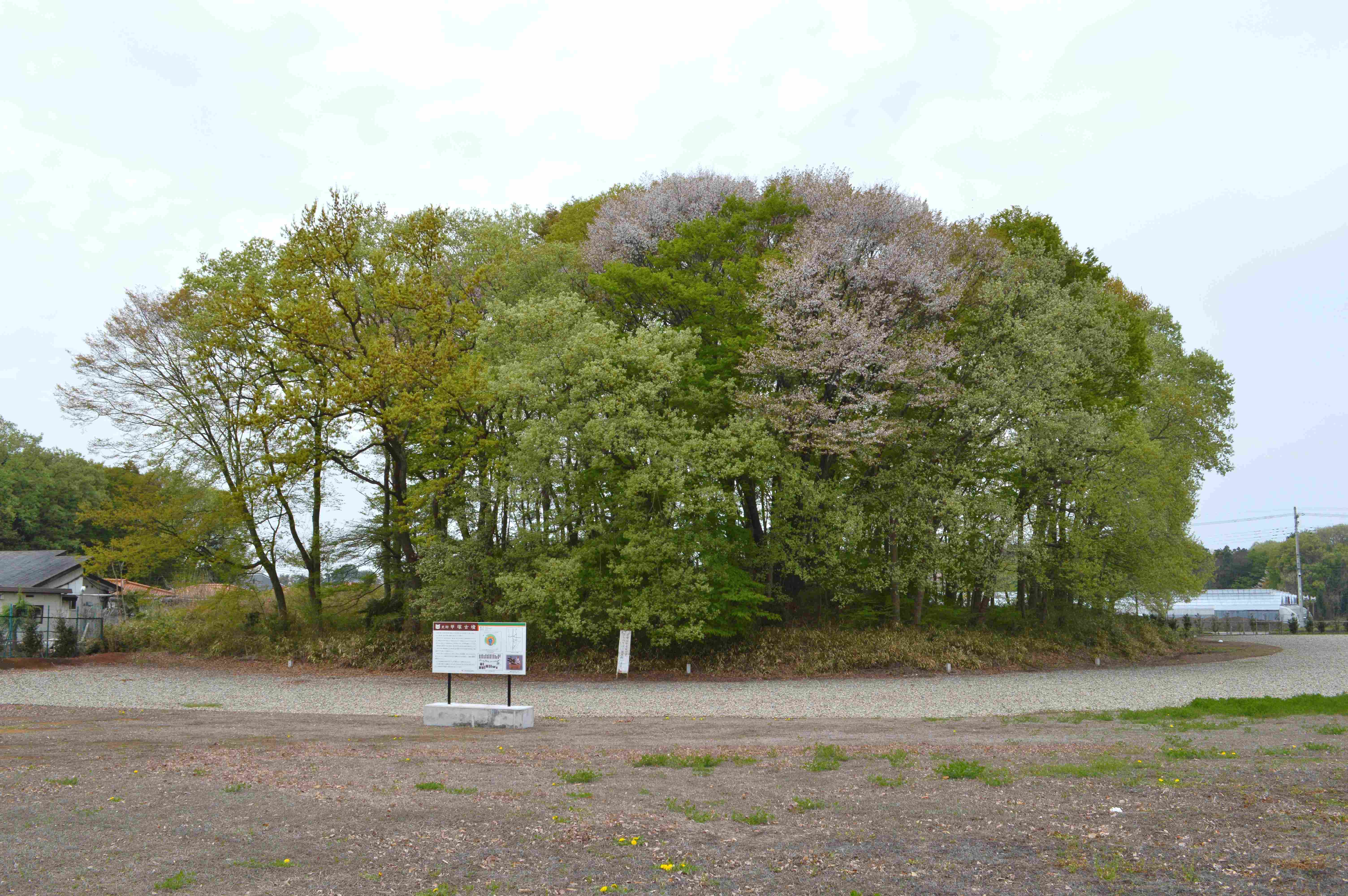 🌳 투구 무덤 공원(카부토즈카 코엔) 이미지 8